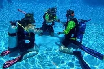 a group of people swimming in a pool of water